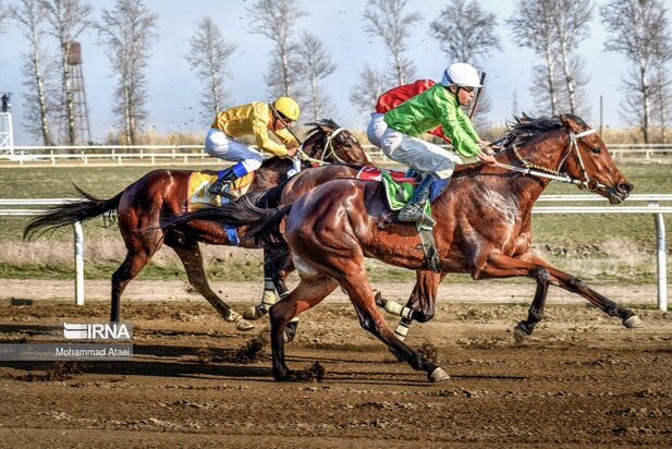 مسابقه اسب سواری گنبدکاووس