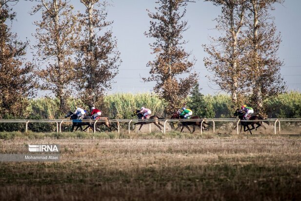 مسابقه اسب سواری گنبدکاووس