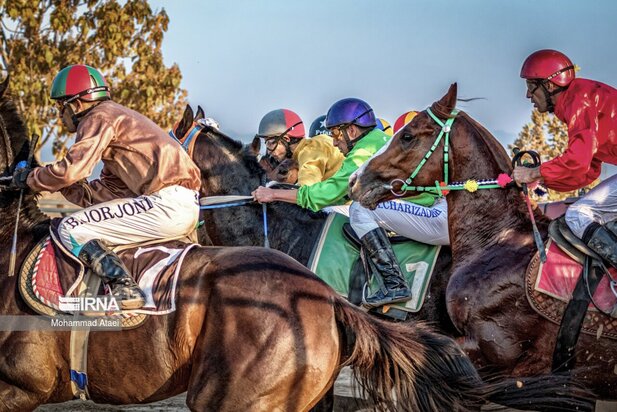 مسابقه اسب سواری گنبدکاووس