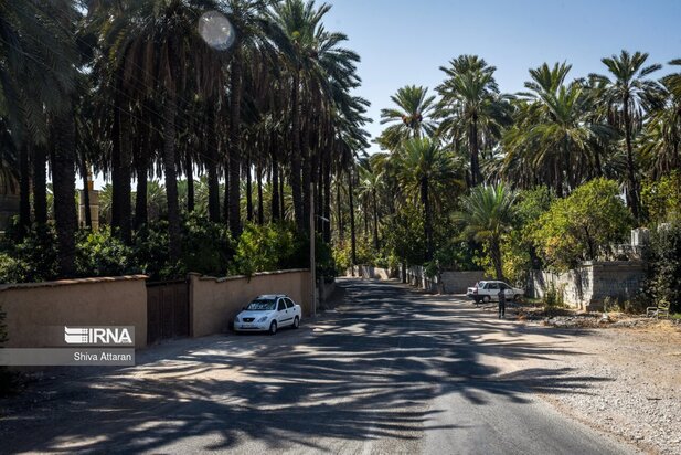 خرماچینی سنتی خاوران