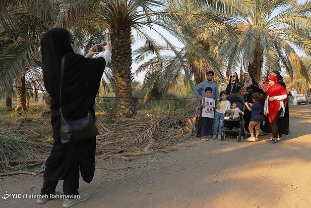 فصل برداشت چای ترش کارون