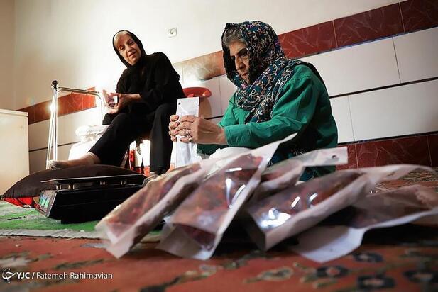 فصل برداشت چای ترش کارون