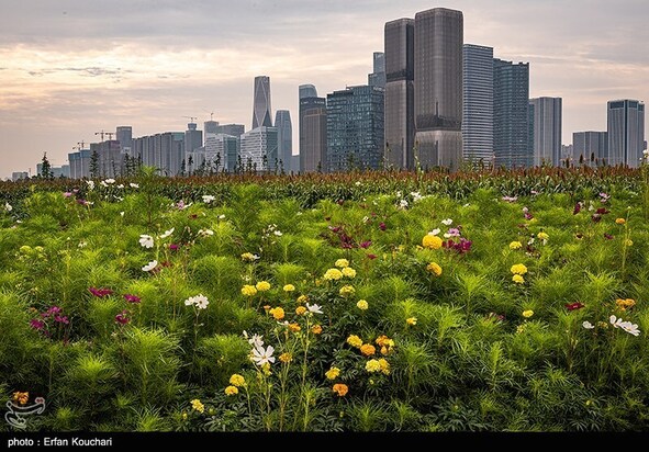 جاذبه های شهر هانگژو