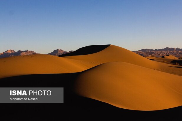 شن های طلایی ایران در کویر مصر