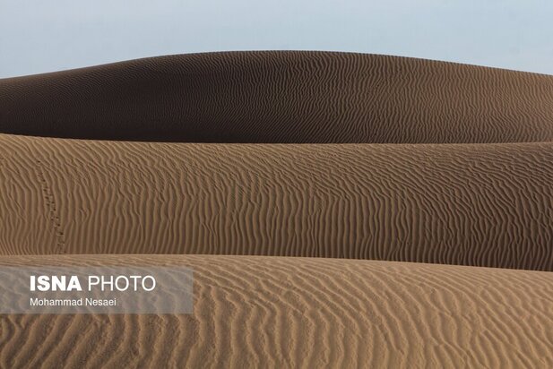 شن های طلایی ایران در کویر مصر