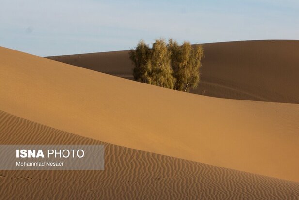 شن های طلایی ایران در کویر مصر