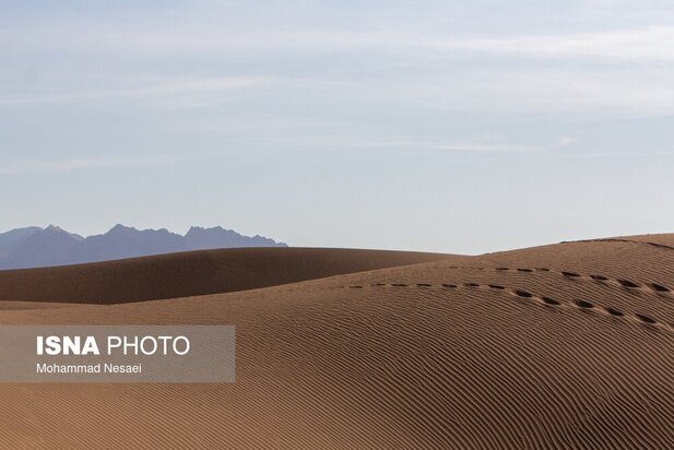 شن های طلایی ایران در کویر مصر