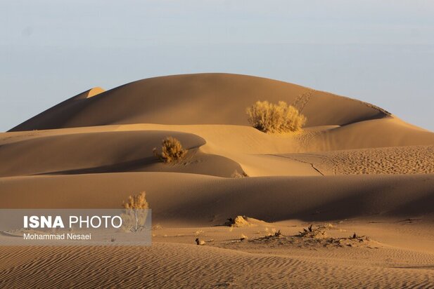 شن های طلایی ایران در کویر مصر