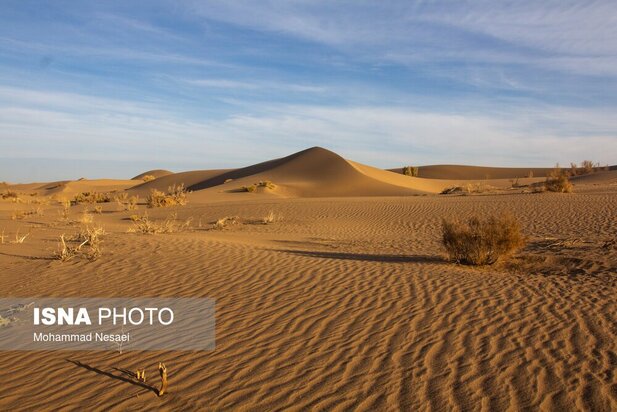 شن های طلایی ایران در کویر مصر
