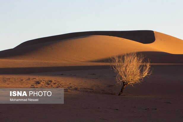شن های طلایی ایران در کویر مصر