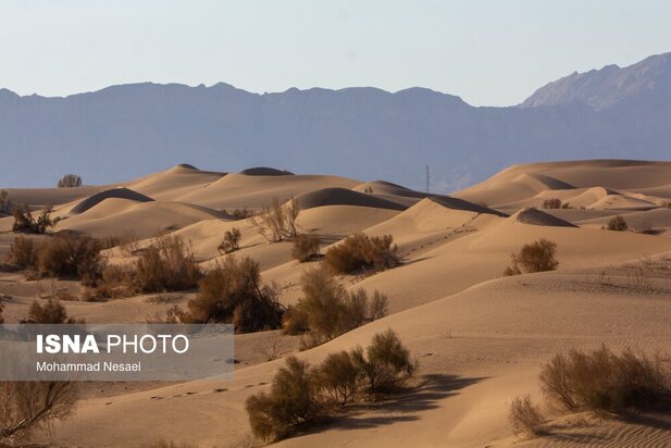 شن های طلایی ایران در کویر مصر