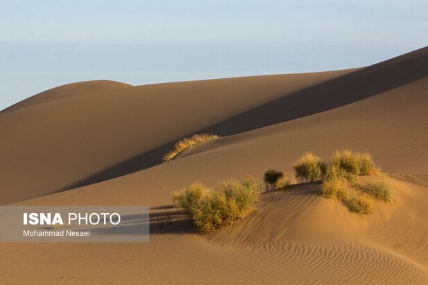 شن های طلایی ایران در کویر مصر