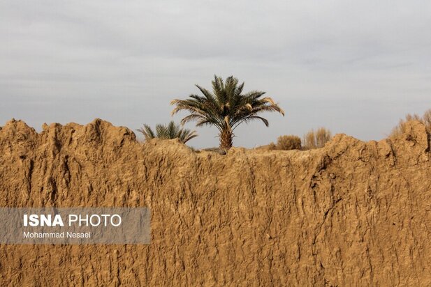 شن های طلایی ایران در کویر مصر