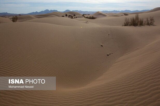 شن های طلایی ایران در کویر مصر