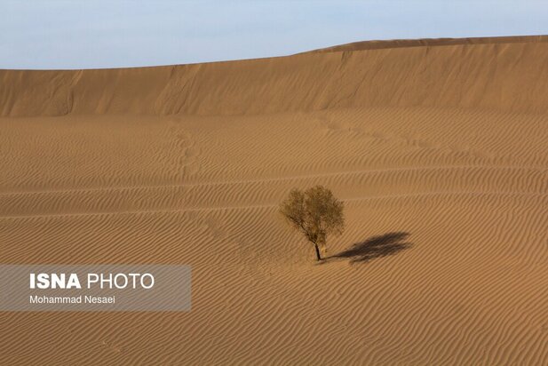 شن های طلایی ایران در کویر مصر