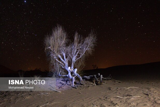 شن های طلایی ایران در کویر مصر
