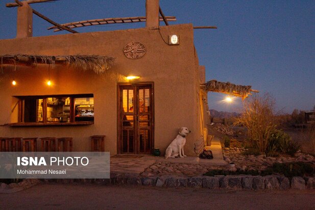 شن های طلایی ایران در کویر مصر