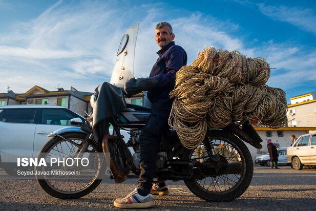 شنبه بازار خمام