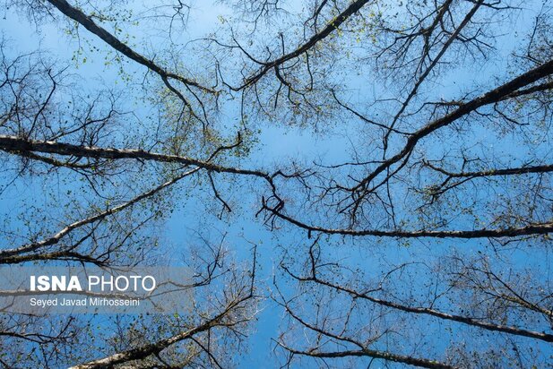 طبیعت رضوانشهر