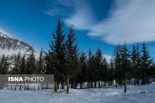 طبیعت رضوانشهر