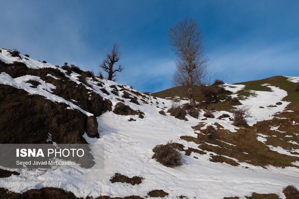 طبیعت رضوانشهر