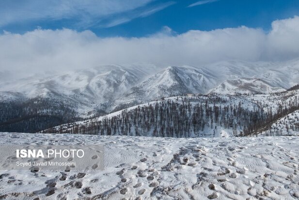 طبیعت رضوانشهر