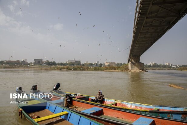 میزبانی پل سفید اهواز از پرندگان مهاجر