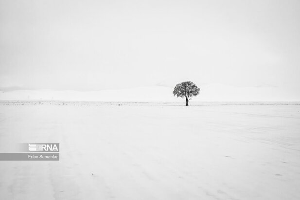 تصاویر دیدنی از بارش برف