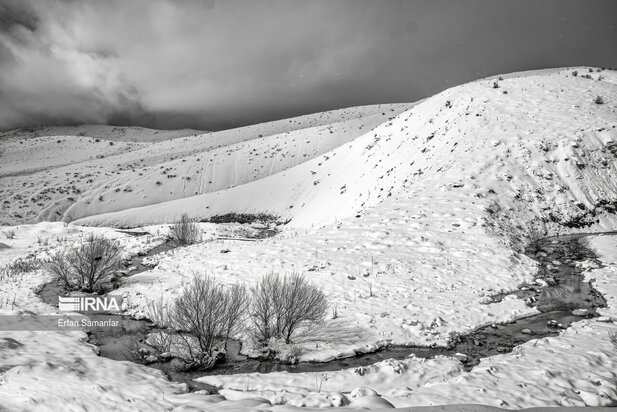 تصاویر دیدنی از بارش برف