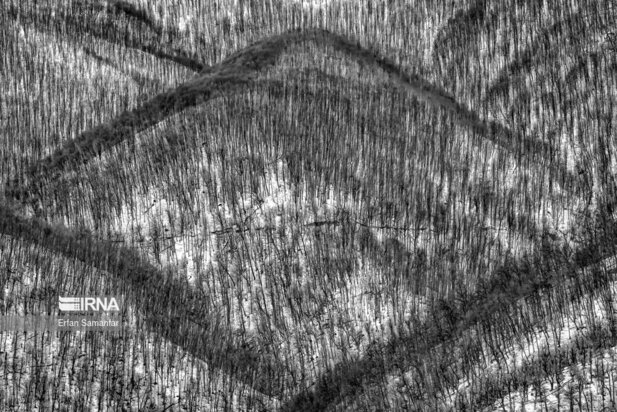 تصاویر دیدنی از بارش برف