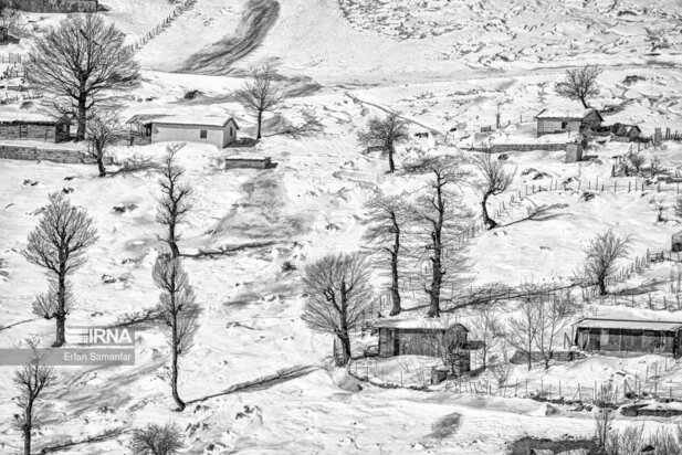 تصاویر دیدنی از بارش برف