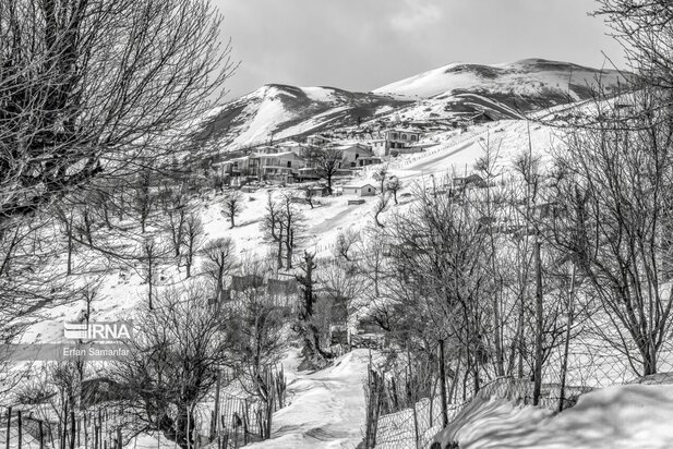 تصاویر دیدنی از بارش برف