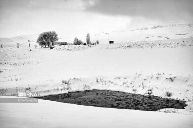 تصاویر دیدنی از بارش برف