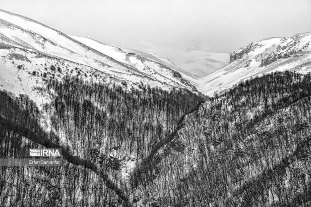 تصاویر دیدنی از بارش برف