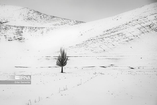 تصاویر دیدنی از بارش برف