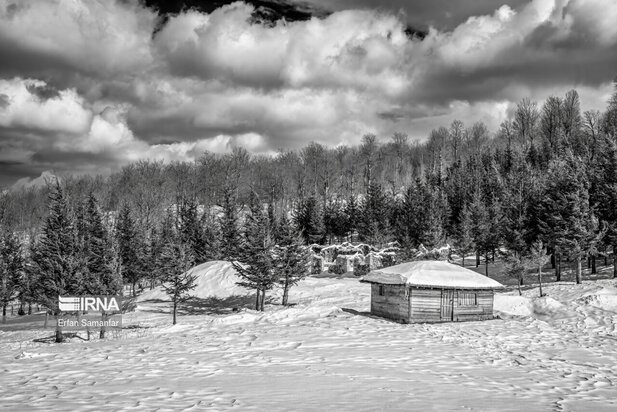 تصاویر دیدنی از بارش برف