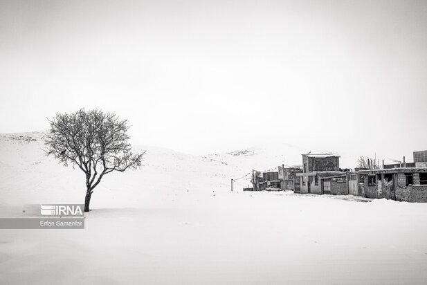 تصاویر دیدنی از بارش برف