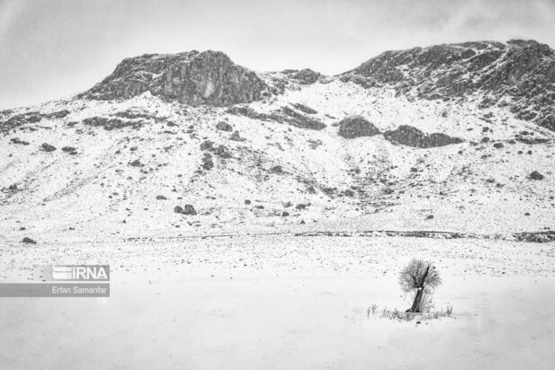 تصاویر دیدنی از بارش برف