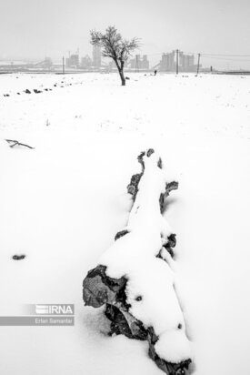 تصاویر دیدنی از بارش برف