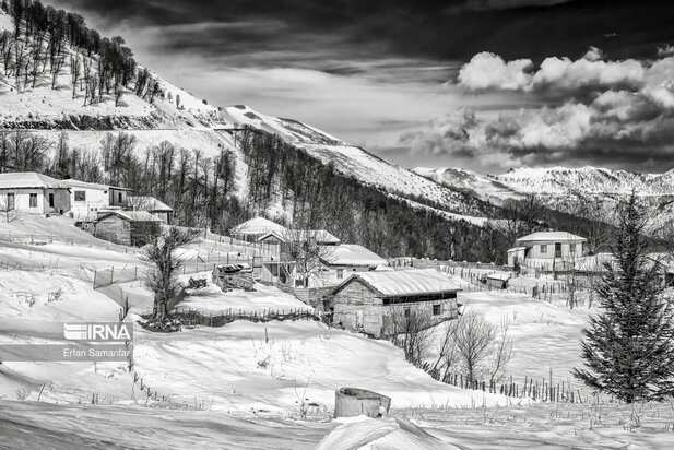 تصاویر دیدنی از بارش برف