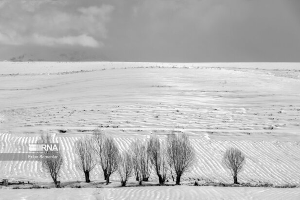 تصاویر دیدنی از بارش برف