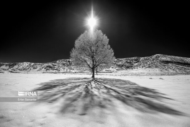 تصاویر دیدنی از بارش برف