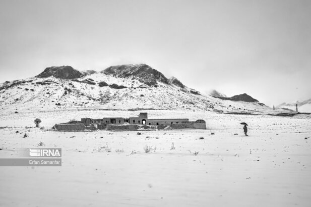 تصاویر دیدنی از بارش برف