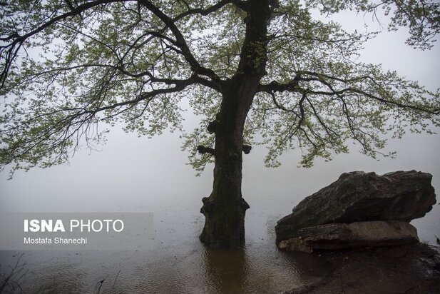 منطقه گردشگری عباس آباد بهشهر
