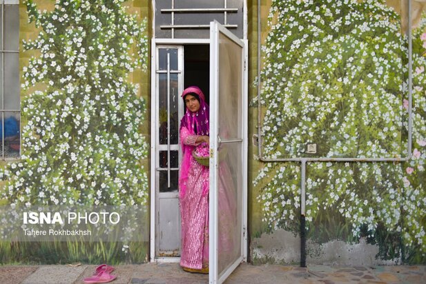 جشنواره گلابگیری