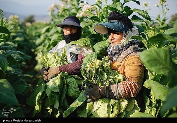 روز جهانی کارگر