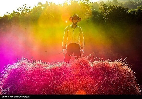 روز جهانی کارگر