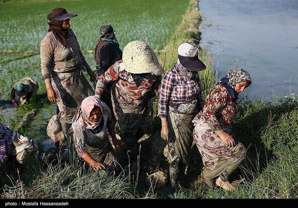 روز جهانی کارگر