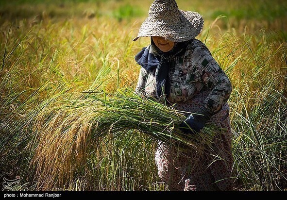 روز جهانی کارگر