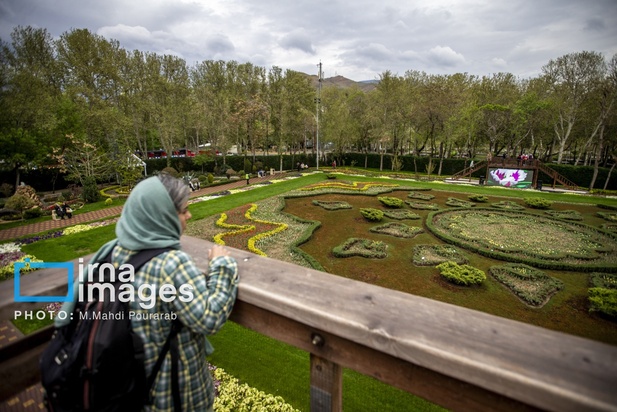 جشنواره لاله